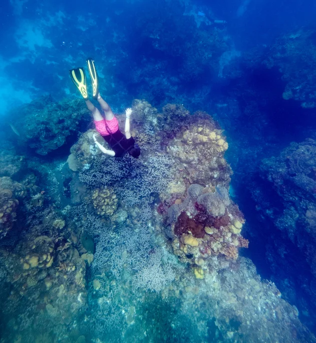 The Thrill of Drift Diving at Batu Bolong’s Marine Paradise